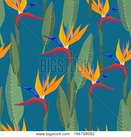 Strelitzia  pattern. Tropical flower, jungle leaves, bird of paradise.
