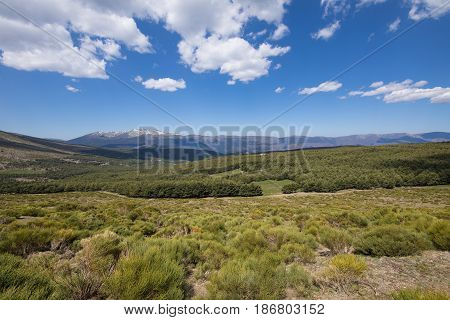 landscape green countryside trees blue sky and clouds in Lozoya Valley and Guadarrama Natural Park from Morcuera mountains in Madrid Spain Europe