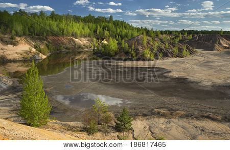 Spring Forest Around a Lake on Sunny Day. Fresh Green Leaves on Trees.