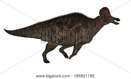 Corythosaurus dinosaur running isolated in white background - 3D render