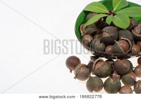 Macadamia nuts in shell new harvest close up on white background