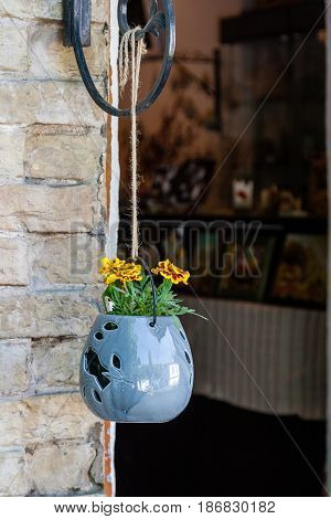 Pendant Pots With Flowers And Greens