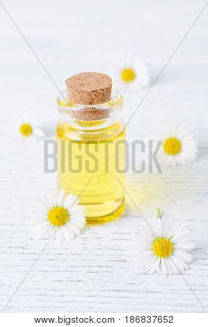 a bottle of chamomile oil with fresh chamomile flowers, selective focus