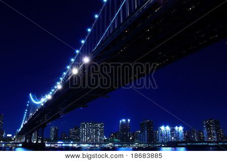 纽约城市天际线和曼哈顿大桥夜景