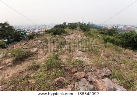 Vegetation and stones sacred Govardhan Hill India.