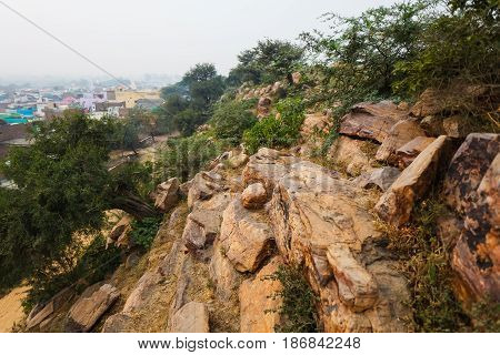 Vegetation and stones of Govardhan sacred Hill India.