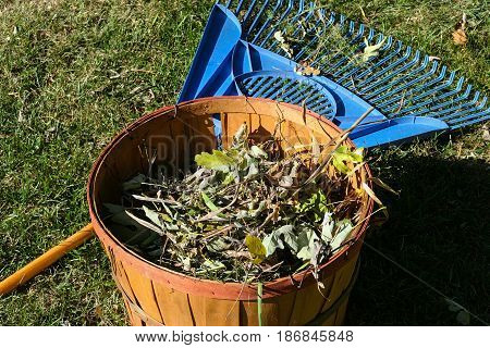 fall leaf removal tools and their results