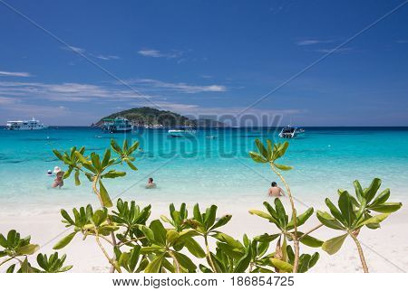 Tourists swimming in the blue sea at similan island.