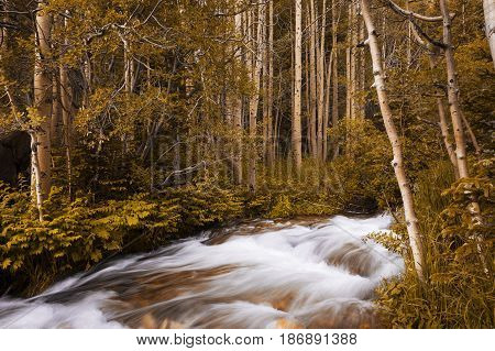 Beautiful view of a stream in the Rocky Mountains National Park in the State of Colorado USA