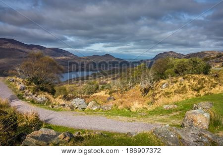 Walking path in the Killarney National Park, Ireland