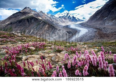Dran Drung Glacier