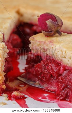 Fresh Home-made Cherry Pie. A Juicy Piece Of Cherry Pie Decorated With A Small Rose. Slice Of Pie Wi