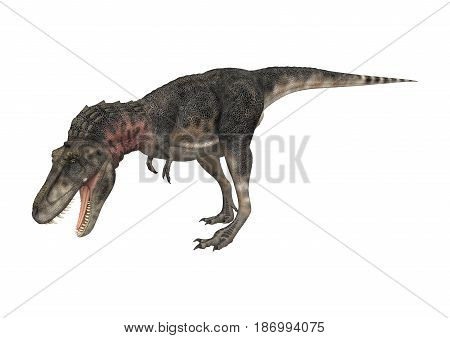 3D Rendering Dinosaur Tarbosaurus On White