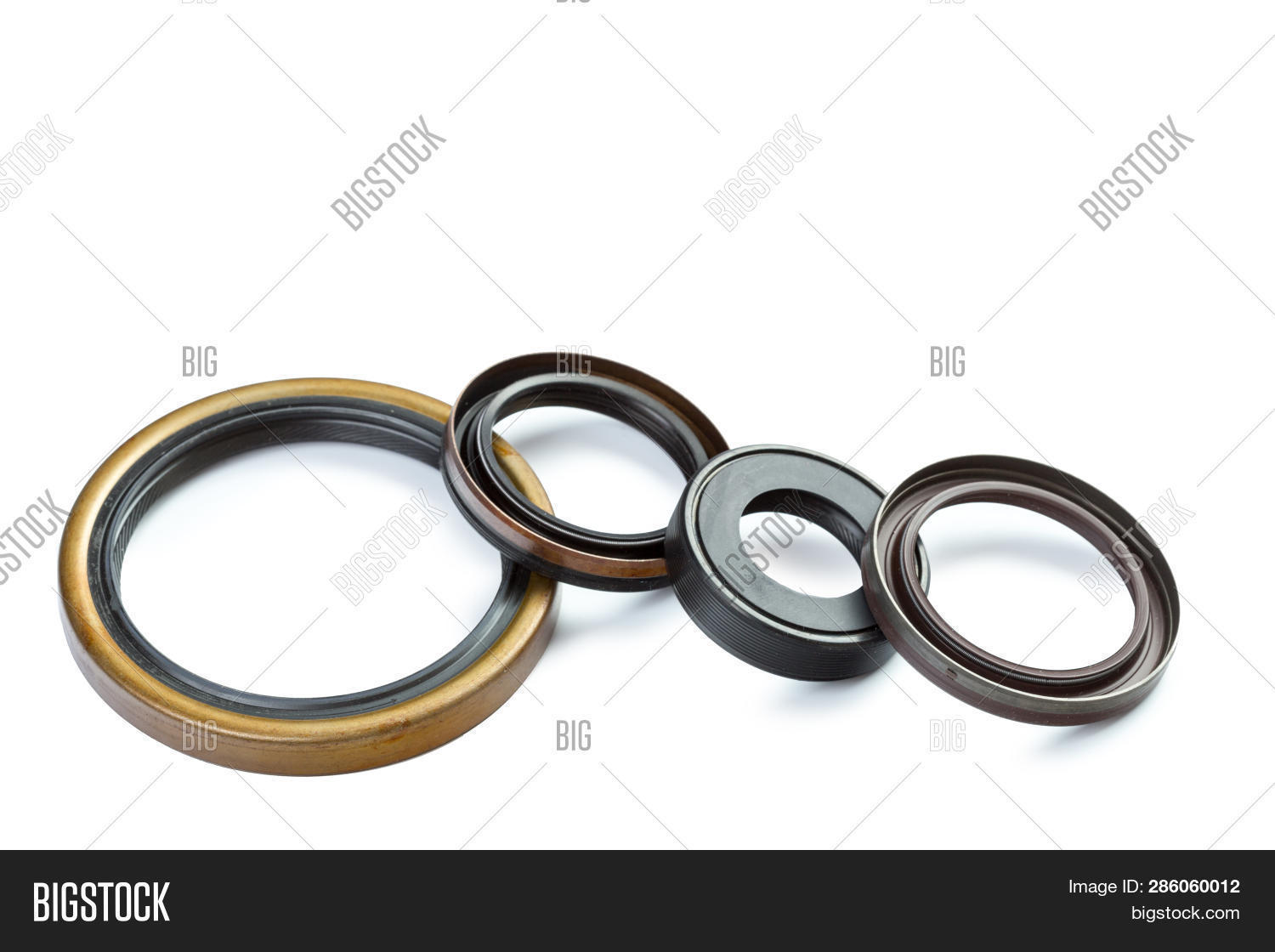 Seal Camshaft Image & Photo (Free Trial) | Bigstock