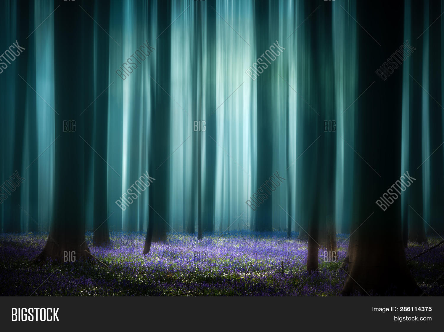 Mystical Misty Spring Image & Photo (Free Trial) | Bigstock