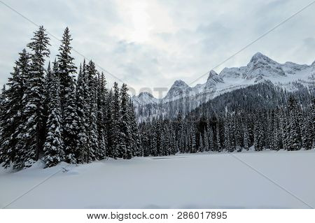 Incredible Snowy Views From Island Lake In Fernie, British Columbia, Canada.  The Majestic Winter Ba