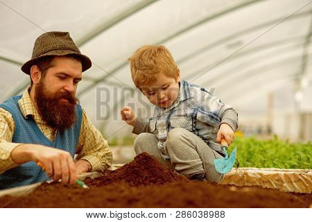Botanic Worker. Botanic Worker Child With Father In Greenhouse. Farm Worker In Botanic Garden. Botan