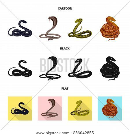Vector Design Of Mammal And Danger Symbol. Set Of Mammal And Medicine Vector Icon For Stock.