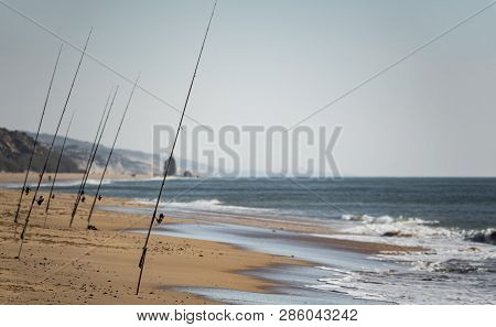 Many Fishing Rods Fishing In The Beach