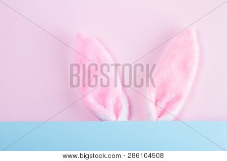 Easter Rabbit Flalffy Ears On Plin Pink Background With Copy Space