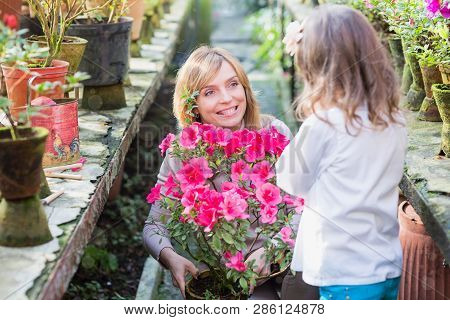 Mother And Daughter Growing Plants, Gardening In Greenhouse. Azalia Rhododendron Flowers. Botanical 
