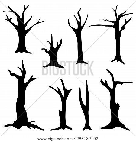 Dead Trees Isolated On White Background. Silhouette Dead Tree Without Leaves.