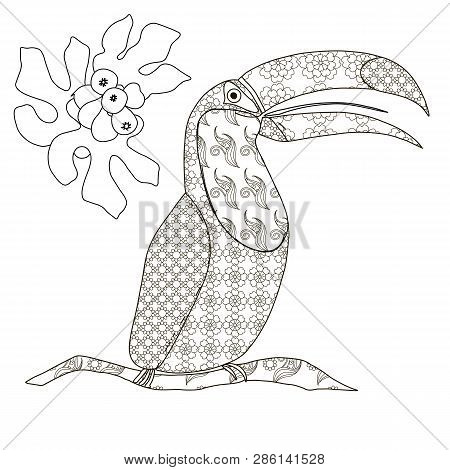 Doodle Toucan Bird, Leaves Of Tree Antistress Coloring Page. Monochrome Design Element Stock Vector 