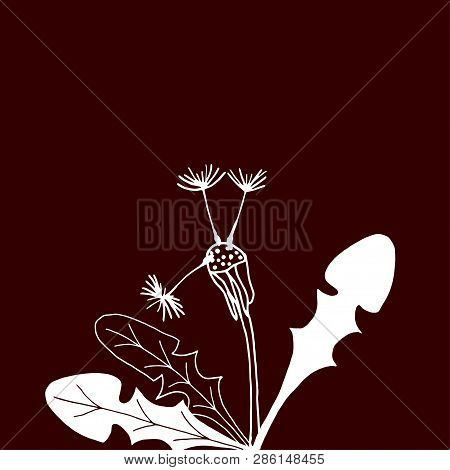 Design Of Hand Drawn Dandelion Flowers On Dark Background. Vector Illustration