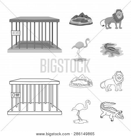 Isolated Object Of Nature  And Fun  Logo. Collection Of Nature  And Entertainment Stock Vector Illus