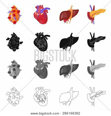 Vector Illustration Of Biology And Scientific Sign. Collection Of Biology And Laboratory Stock Vecto