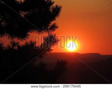 Beautiful Sunset In The Mountains On A Red Background Near Pine Branches