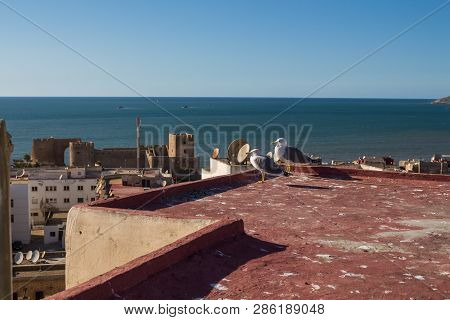 Skyview On The Historical Castle. In The Foreground Red Roof With A Couple Of Seagulls. Horizon Of T