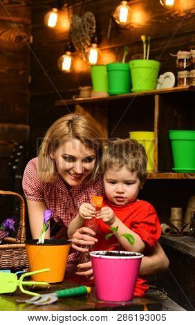 Flowerpot Concept. Small Boy And Woman Spray Water On Young Plant In Flowerpot. Child And Mother Wat