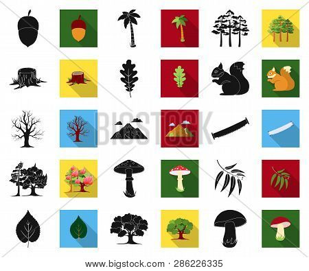 Forest And Nature Black, Flat Icons In Set Collection For Design. Forest Life Vector Symbol Stock We
