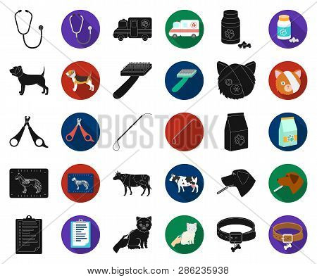 Veterinary Clinic Black, Flat Icons In Set Collection For Design. Treatment Of A Pet Vector Symbol S