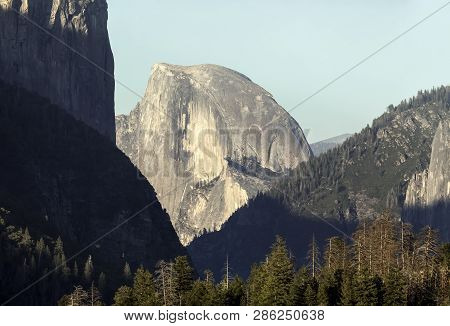 Half Dome View