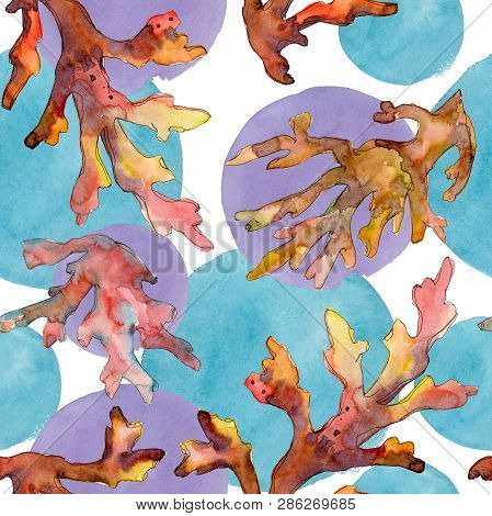 Red And Yellow Aquatic Underwater Nature Coral Reef. Watercolor Illustration Set. Seamless Backgroun