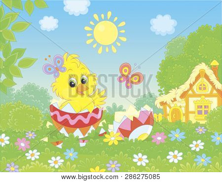 Little Yellow Chick Peeking Out Of A Decorated Easter Egg On Green Grass Among Flowers On A Lawn Nea