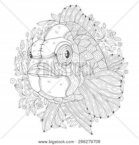 Hand Drawn Aquarium Fish With Algae On A White Background. Image For Adult And Children Coloring Boo
