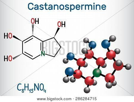 Castanospermine Indolizidine Alkaloid Molecule. Structural Chemical Formula And Molecule Model. Vect