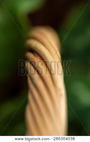 Wicker Basket. Wooden Basket. Rattan Basket. Detail Of A Rattan Basket. Wicker Surface.