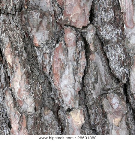 Textura de madera