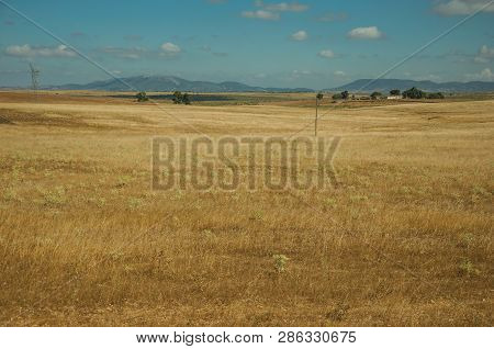 Rural Landscape With Cultivated Fields Near The Monfrague National Park