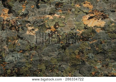 Rock Covered By Moss And Lichens At The Monfrague National Park