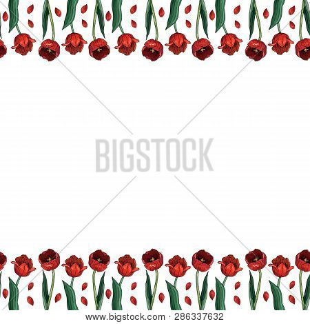 Seamless Border With Red Tulips. Endless Border Pattern With Flowers For Your Design