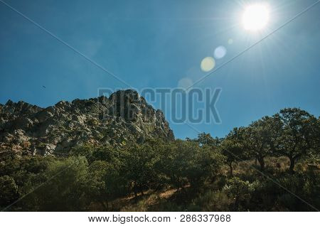 Top View Of Rocky Cliffs Covered By Trees In A Sunny Day At The Monfrague National Park. A Remarkabl