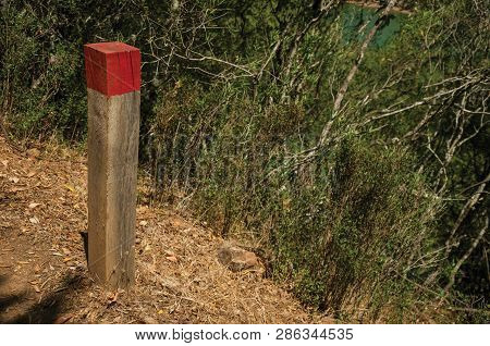 Wooden Pole Next To A Dirt Trail To Mark The Right Path