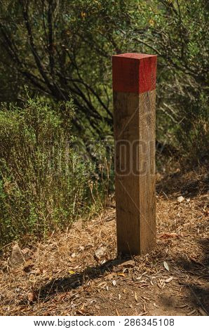 Wooden Pole Next To A Dirt Trail To Mark The Right Path