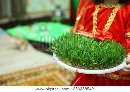 He Held His Hand In Green Semeni . Navruz Nowruz Holiday, The Spring New Year Holiday.