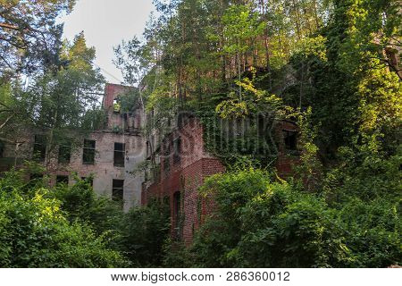 Ruins Of Beelitz-heilstätten Lost Place Berlin Brandenburg;